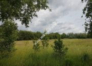 działka  inwestycyjna powyżej 1 ha miniaturka 6