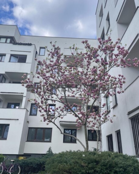 Dwupoziomowe mieszkanie na Ochocie miniaturka 10