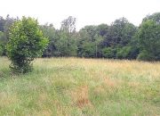 Duża działka z domem do remontu miniaturka 15