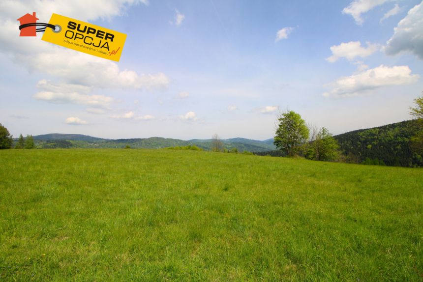 Zawoja Mosorne, 970 000 zł, 1.8 ha, przyłącze prądu miniaturka 2