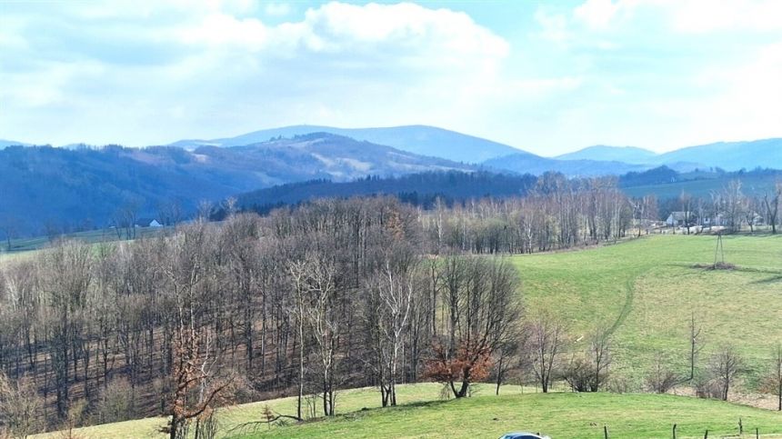 Panorama Góry Sowie, Zamek Grodno miniaturka 8