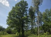 za Sarnią, 3 do wyboru, warunki zabudowy miniaturka 11