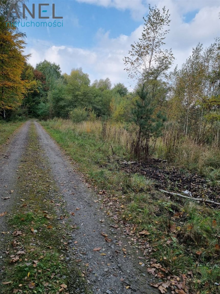 Teren przy A4 i lesie- Ruda Śląska- Halemba miniaturka 3