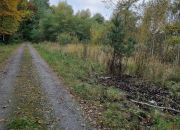 Teren przy A4 i lesie- Ruda Śląska- Halemba miniaturka 3