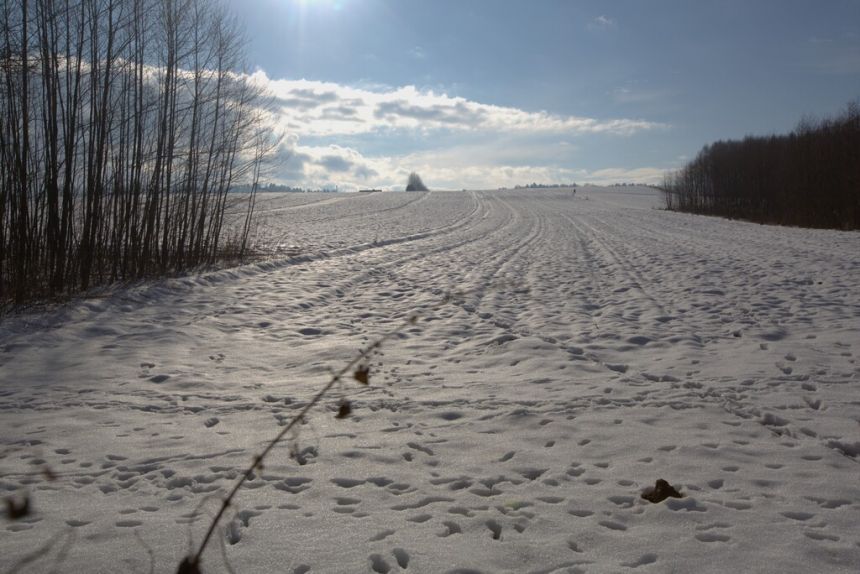 Działka rolno - budowlana (1,61ha) w Ołpinach! miniaturka 11
