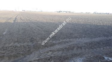 Wynajem działka budowlana 1000 m²
