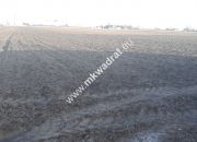 Wynajem działka budowlana 1000 m² miniaturka 1