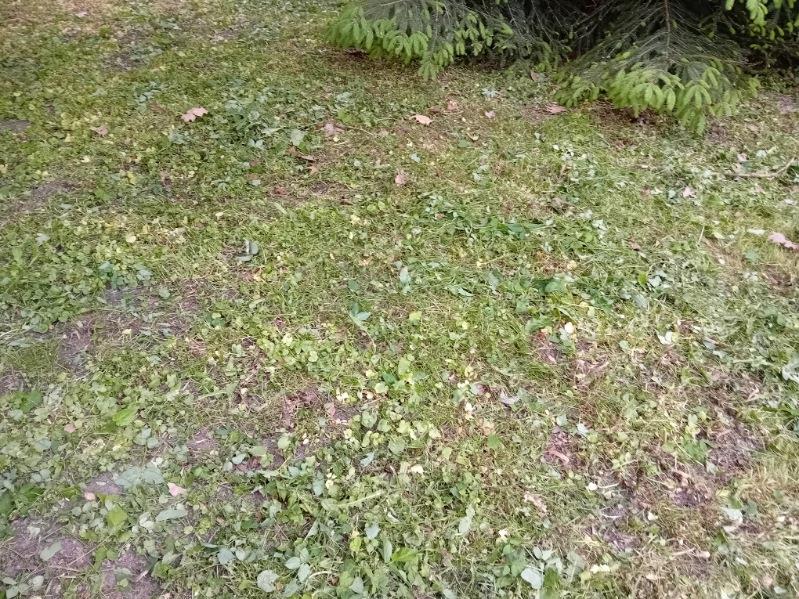 Michałowice, 970 000 zł, 12.38 ar, budowlana - zdjęcie 1