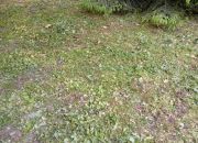 Michałowice, 970 000 zł, 12.38 ar, budowlana miniaturka 1