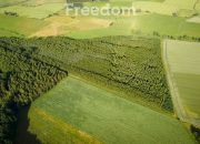 9,85 ha zalesionej działki rolnej na Mazurach!!! miniaturka 9