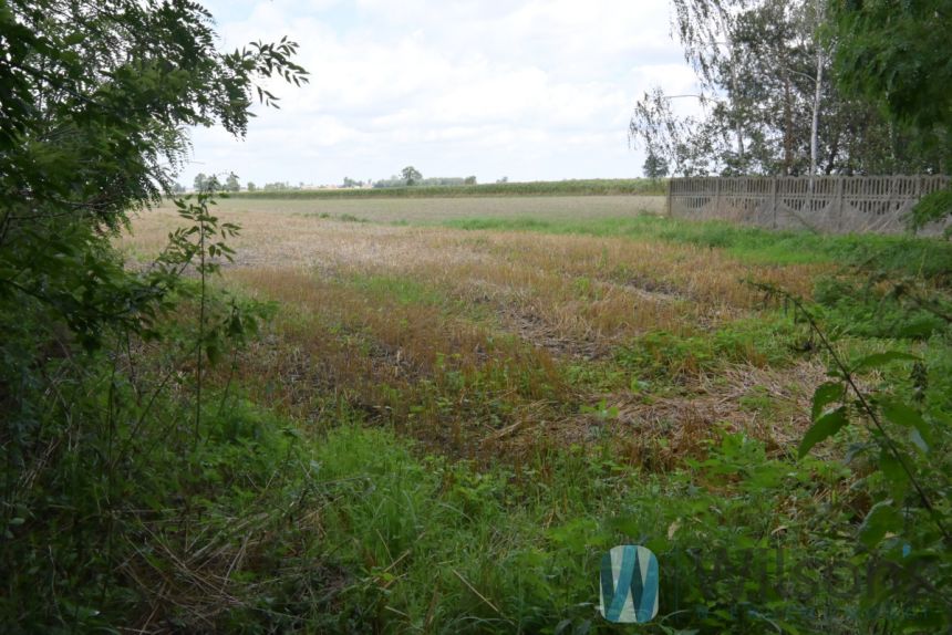 Zakrzew, 190 000 zł, 1.63 ha, droga dojazdowa asfaltowa miniaturka 2