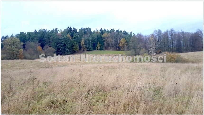80 ha pod Hodowlę i Fotowoltaikę gmina Świętajno miniaturka 7