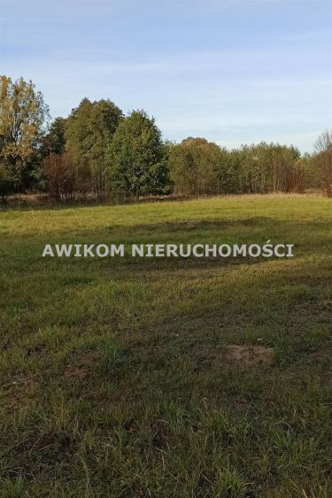 Budy-Grzybek, 279 000 zł, 9.63 ar, przyłącze elektryczne