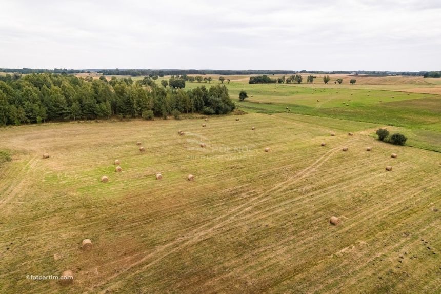 Działka rolna pod Pasymiem miniaturka 11