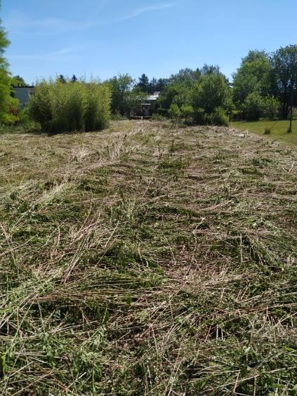 Wymysłów, 360 000 zł, 64 m2, do remontu kapitalnego miniaturka 3