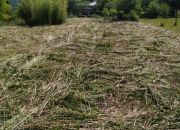 Wymysłów, 360 000 zł, 64 m2, do remontu kapitalnego miniaturka 3