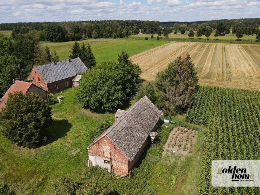 Tuchorza, 390 000 zł, 145 m2, jednorodzinny miniaturka 9