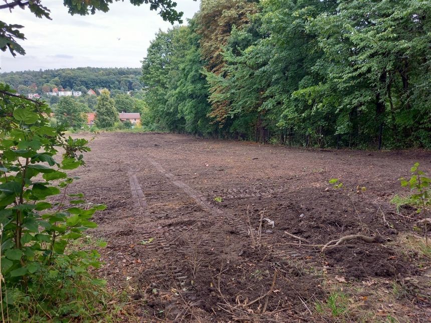 Zaciszna duża działka w Szczawnie Zdroju miniaturka 5