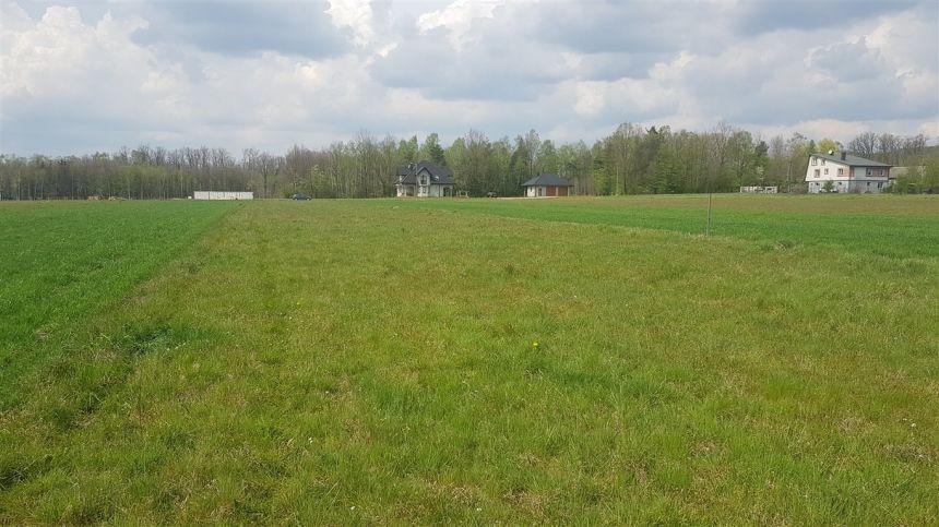 Działka 5600 m2 Skiby gm. Chęciny miniaturka 5