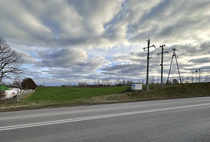 4,49 ha Kołbaskowo pod usługi, magazyny, składy miniaturka 5