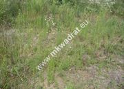Mszczonów, 2 169 180 zł, 1.11 ha, prostokątna miniaturka 6