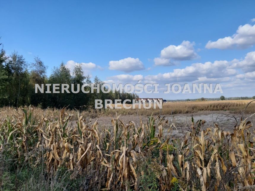 Wilkszyn, 5 999 000 zł, 3.08 ha, budowlana miniaturka 2