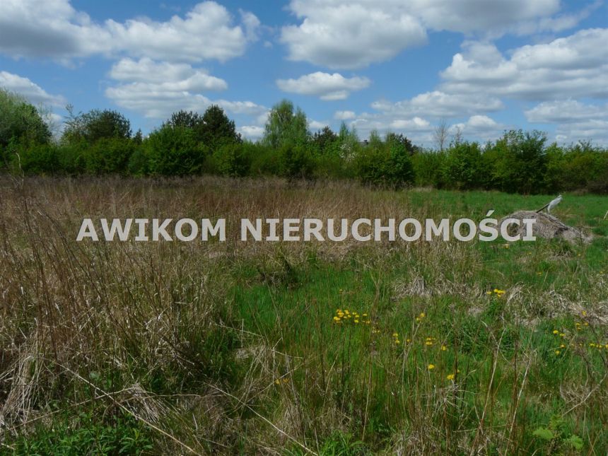Mokra Lewa, 149 000 zł, 25.94 ar, woda w drodze miniaturka 5
