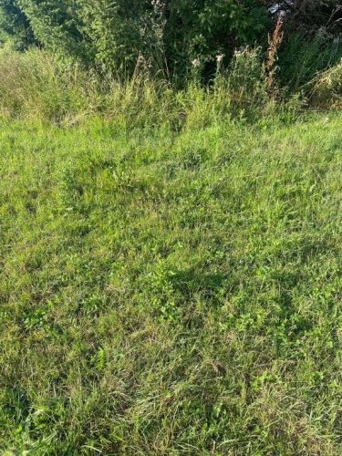 Rusinowo, 435 000 zł, 30 ar, budowlana