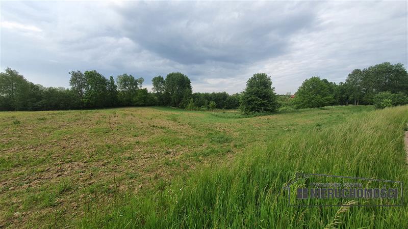 Działka siedliskowa ok. 1 km od Jeziora Pile miniaturka 10