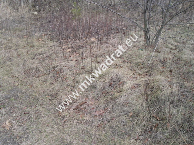 Pęcice działka w atrakcyjnym miejscu 10.500 m2 miniaturka 8