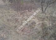 Pęcice działka w atrakcyjnym miejscu 10.500 m2 miniaturka 8