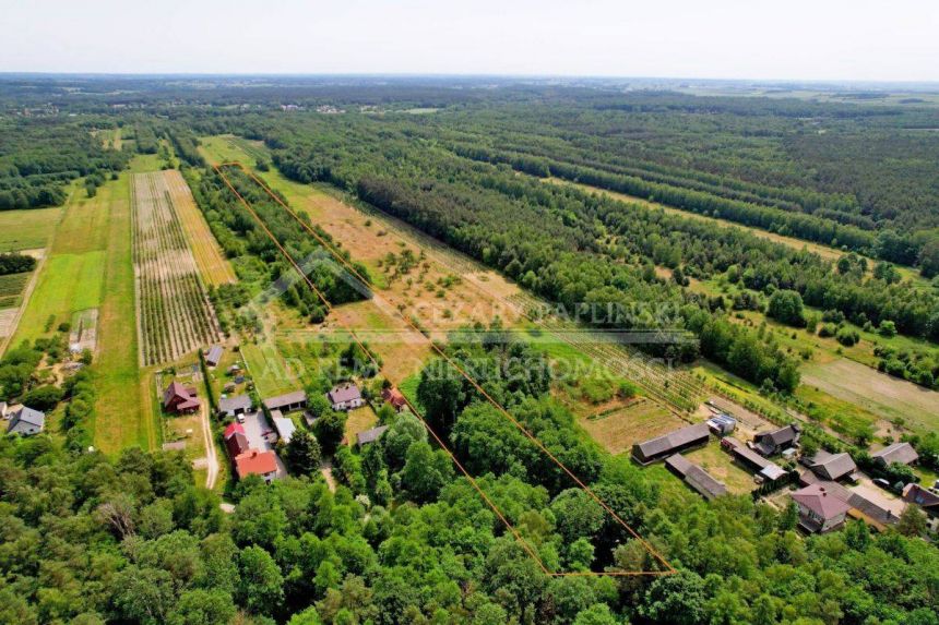 Kazimierz Dolny 2 ha lasu plus siedlisko/rekreacja miniaturka 3