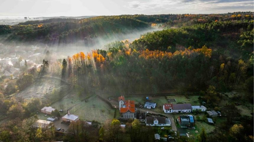 Dom na wynajem w pięknej okolicy - Oliwa miniaturka 13