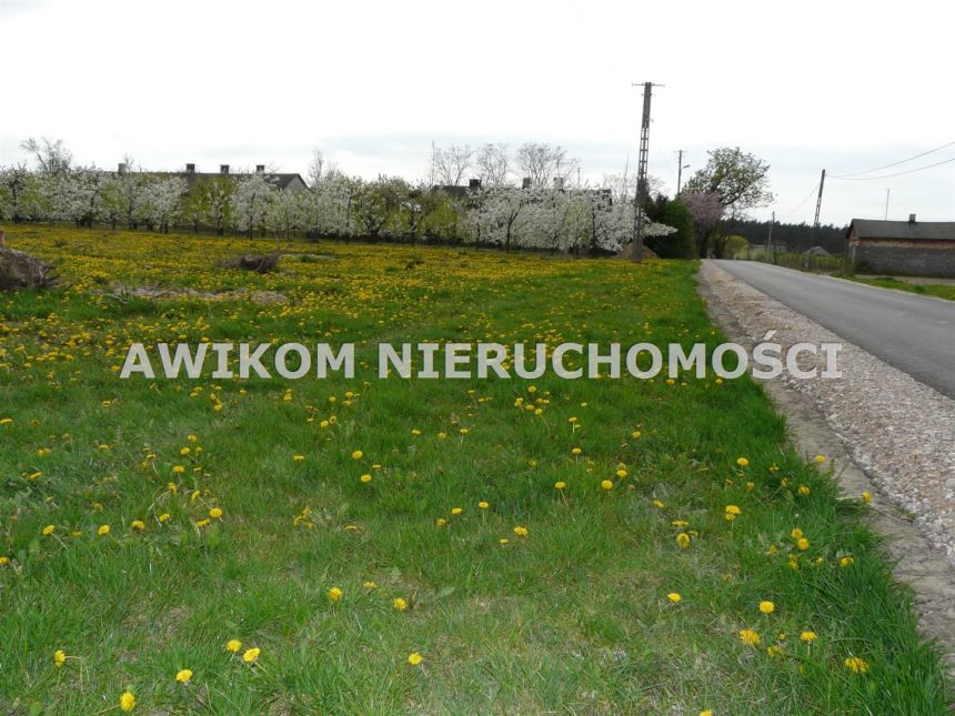 Wycinka Wolska, 124 020 zł, 1.03 ha, droga dojazdowa asfaltowa miniaturka 7