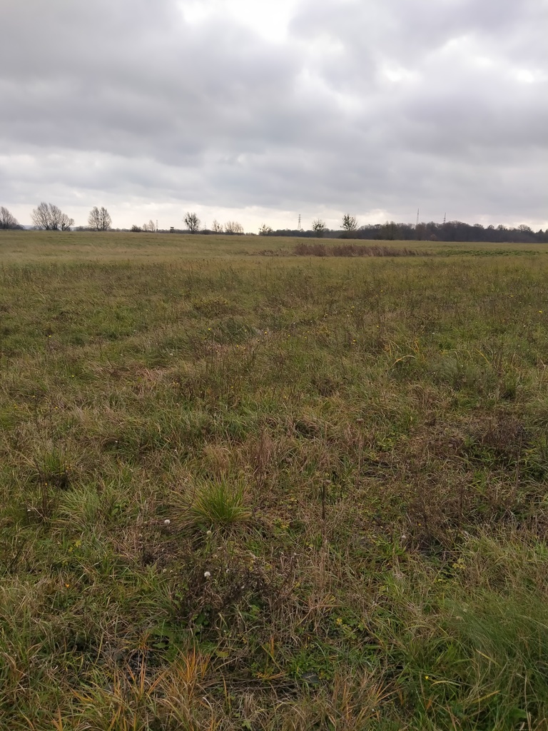 Działka Szczecin-Skolwin 3074 m2. - zdjęcie 1