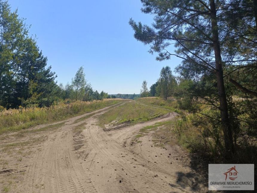 Mielenko Drawskie, 275 000 zł, 7.17 ha, rolna miniaturka 9
