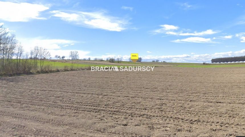 Prandocin-Iły, 287 000 zł, 3.05 ha, rolna miniaturka 10