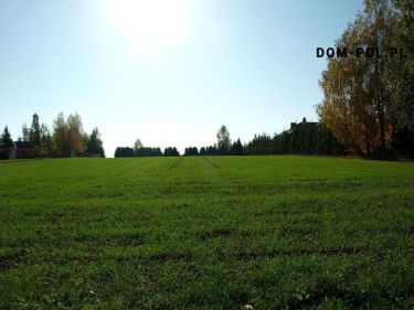Działka z pozwoleniem na budowę Panieńszczyzna