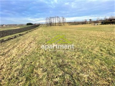 Dąbrowa Tarnowska Bagienica, 94 168 zł, 11.92 ar, budowlana
