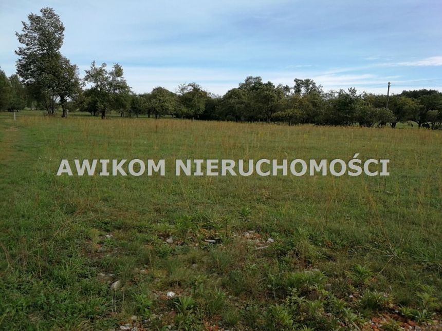 Radziejowice, 1 300 000 zł, 2.35 ha, budowlana - zdjęcie 1
