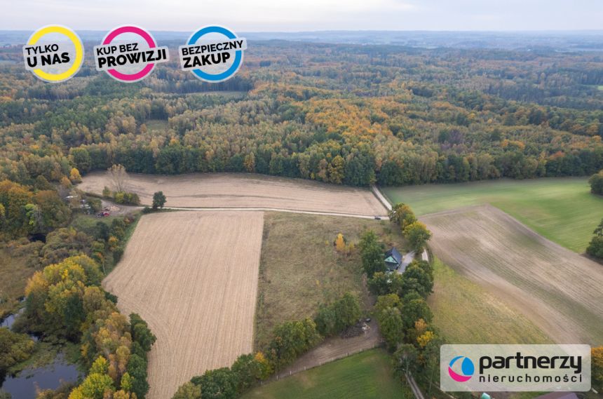 Grzmiąca, 263 000 zł, 40.49 ar, droga dojazdowa utwardzona miniaturka 9
