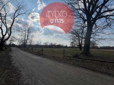 Działka 3,74 ha 30 km od Warszawy, rzeka, las