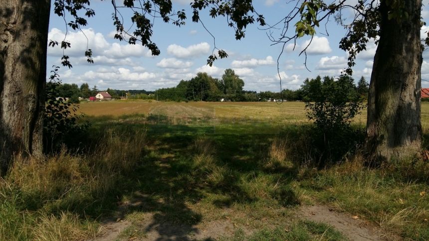 Leszno, 360 000 zł, 30 ar, prostokątna miniaturka 6
