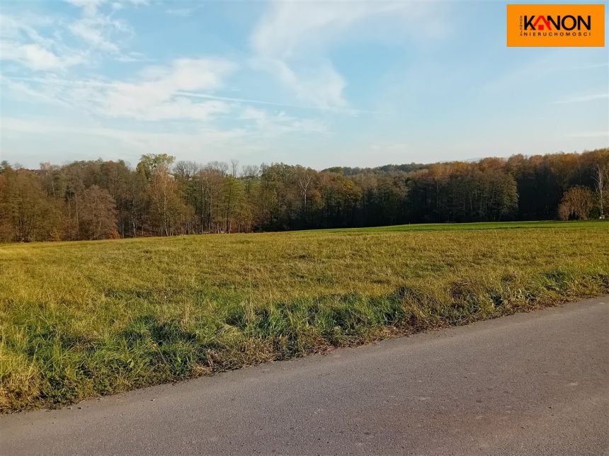 Grodziec, 249 000 zł, 10.02 ar, bez prowizji miniaturka 4