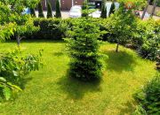 Bezczynszowy parter domu z działką 400 m2 do dyspo miniaturka 24