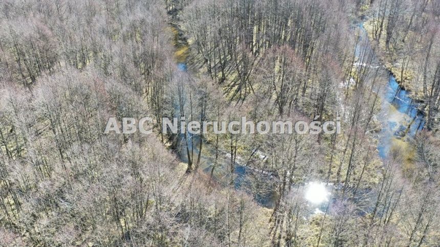 Golce, 610 000 zł, 99.69 ar, rolna z prawem zabudowy miniaturka 11
