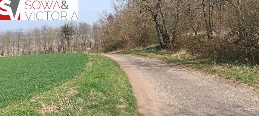 Piękna, otoczona lasem działka w Dobromierzu miniaturka 3