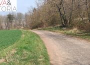 Piękna, otoczona lasem działka w Dobromierzu miniaturka 2