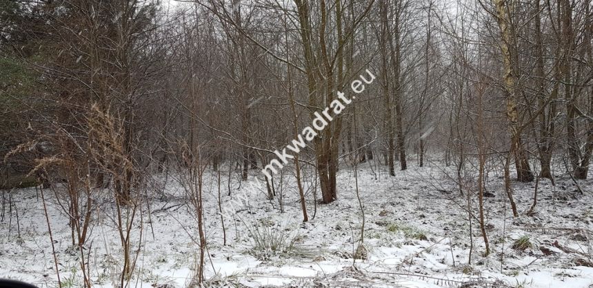 Działka z planem zagospodarowania miniaturka 2