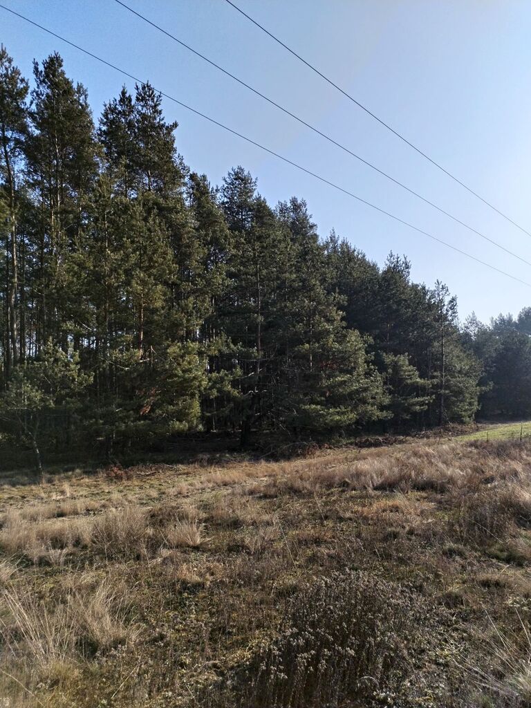 Zarośle Cienkie, 180 000 zł, 20.93 ar, budowlana miniaturka 2